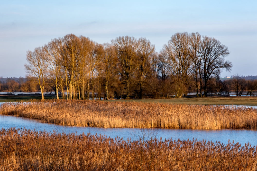 Fotografia Maciej Strzelczyk