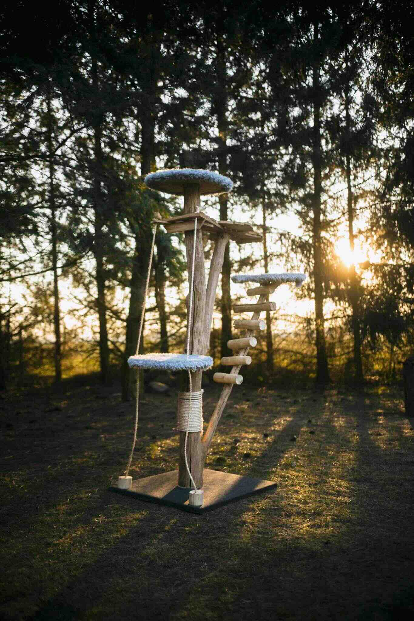 Naturalne drzewko dla kota z drewna – ekologiczny i trwały mebel dla pupila